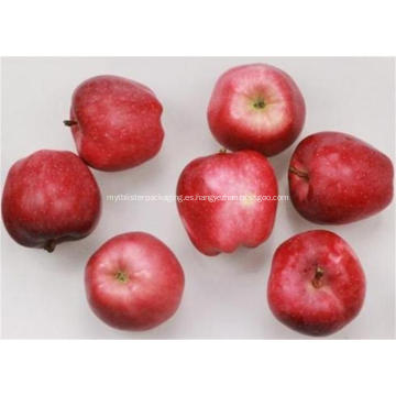 Delicioso Fresh Fruit Red Star Apple